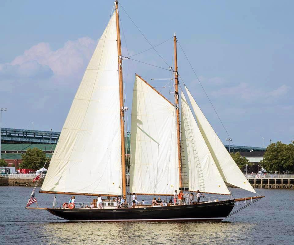 Sail when and if 2025 all you need to know before you go with reviews 