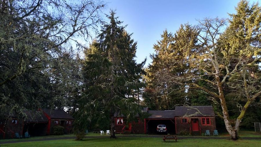 Comfy Cottages