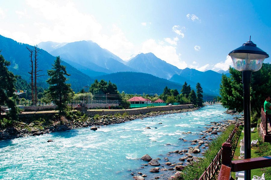 jammu kashmir tourism hotels