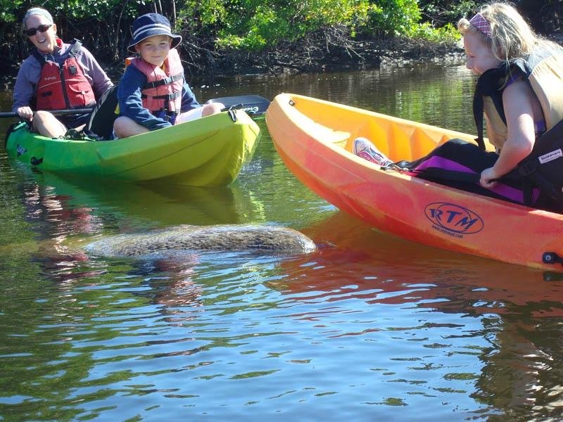 Kayak Excursions - Bunche Beach - All You Need to Know BEFORE You Go (2024)