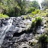 Things To Do in Gold Coast Lamington National Park and Tamborine Mountain 4WD Ecotour, Restaurants in Gold Coast Lamington National Park and Tamborine Mountain 4WD Ecotour