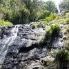 Things To Do in Gold Coast Hinterland Great Walk, Restaurants in Gold Coast Hinterland Great Walk