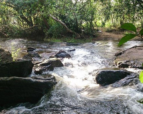 10 BEST Parks & Nature Attractions Ernakulam Tripadvisor