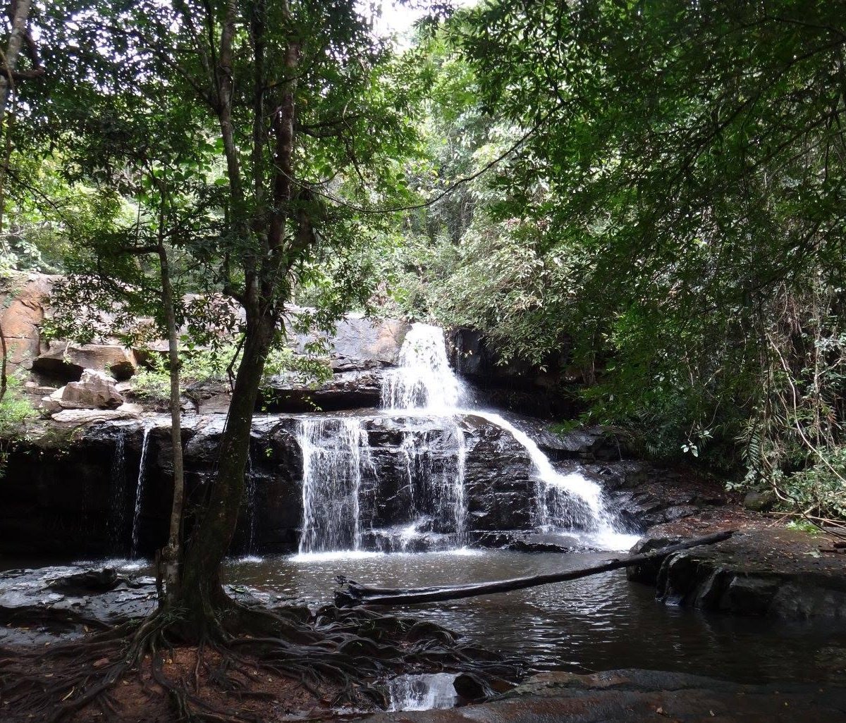 PANG SIDA NATIONAL PARK (Muang Sakaeo): All You Need to Know