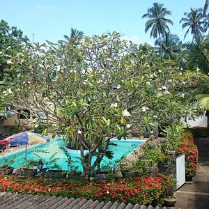Внутренний дворик с бассейном