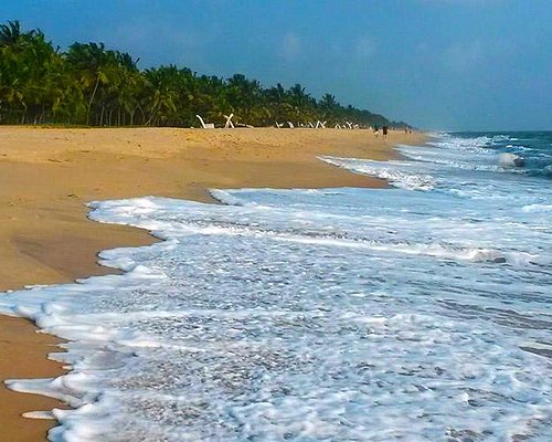 Discover the Best Beaches in Kochi, Kerala for 2024 Vacation Escapes - Backwater and Scenic Views