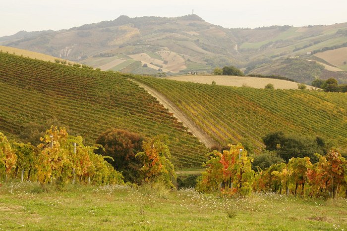 Herfst in Le Marche