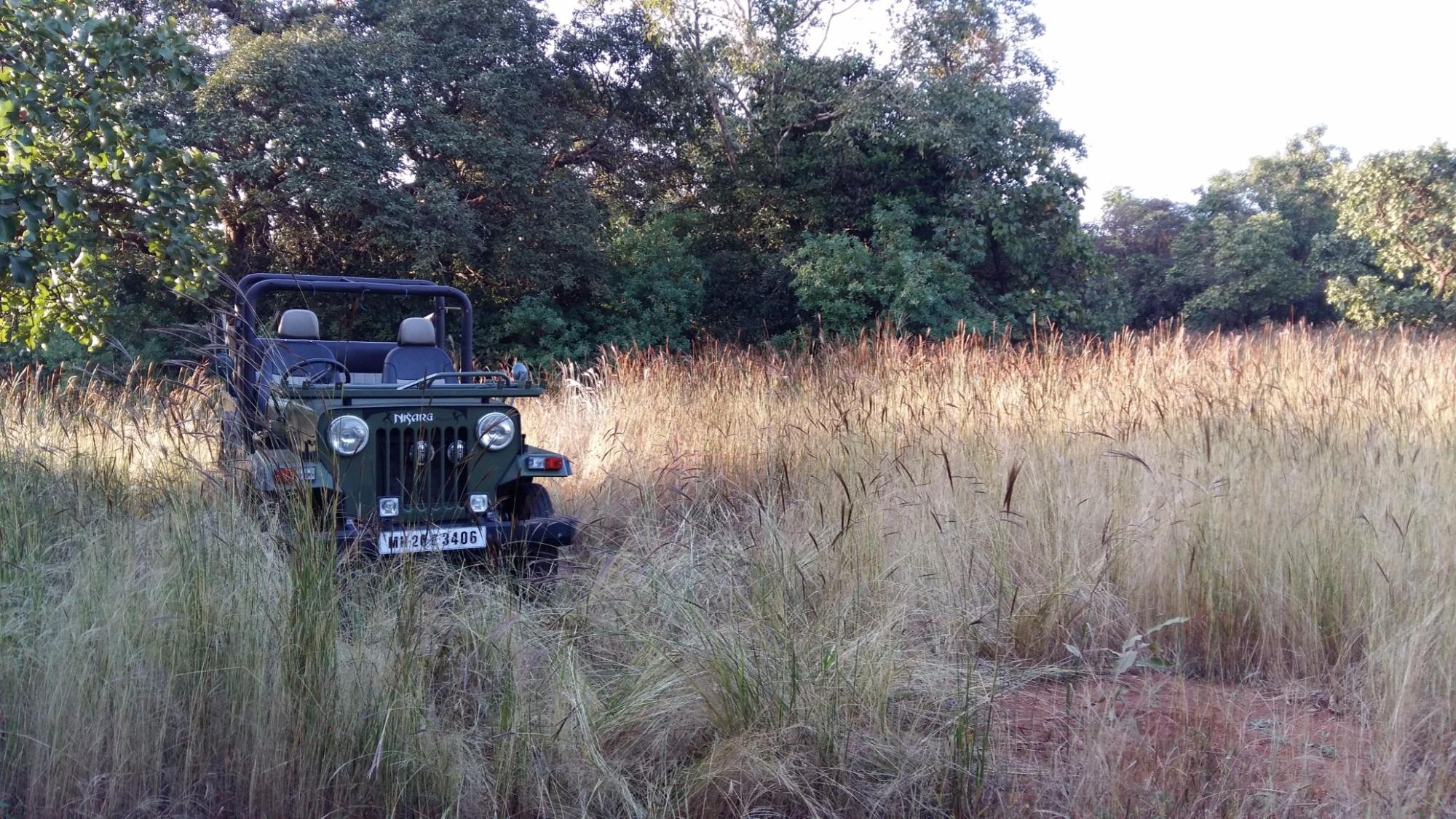 Jeep Safari