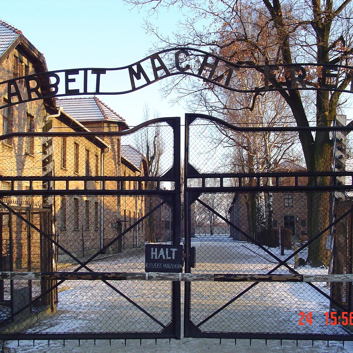 auschwitz tour tripadvisor