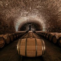 CARO cellar
