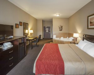 Room & Suite