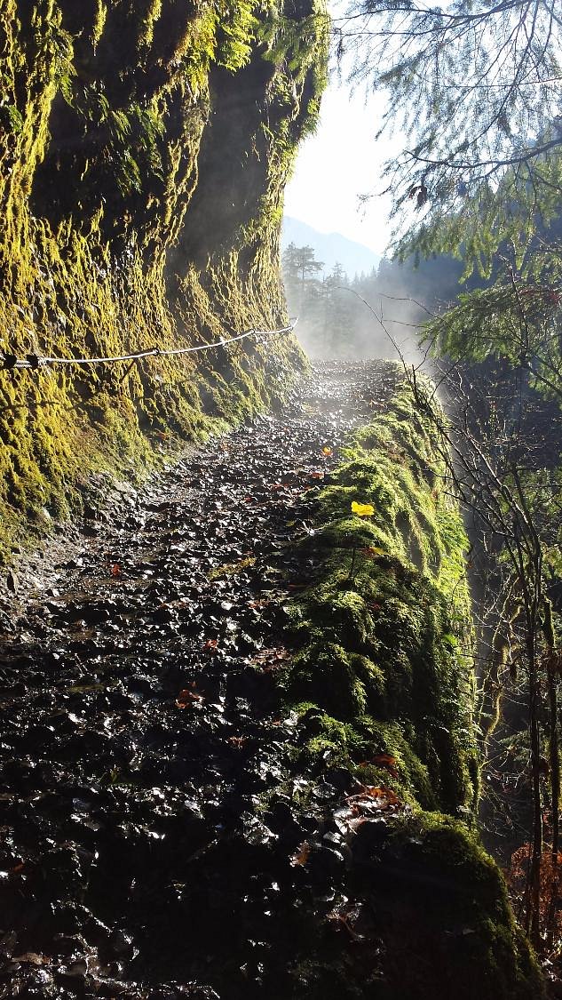 How to Hike The Eagle Creek Trail in Oregon (Full Guide)