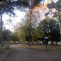 Villa Paganini - 2