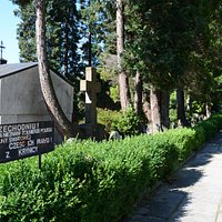 Military Cemetery no.346 in Krynica