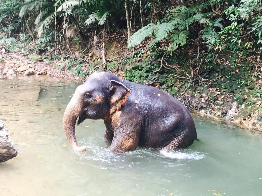 BAN KWAN CHANG (Ko Chang) - 2023 What to Know BEFORE You Go