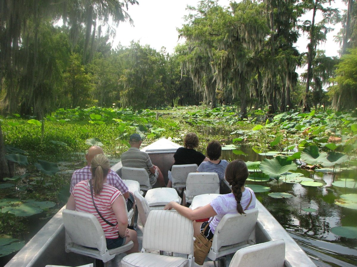 Cajun Country Swamp Tours (Breaux Bridge) - All You Need to Know BEFORE ...