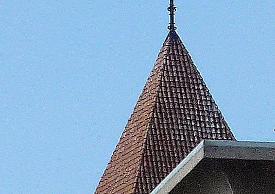 nido de cigueñas