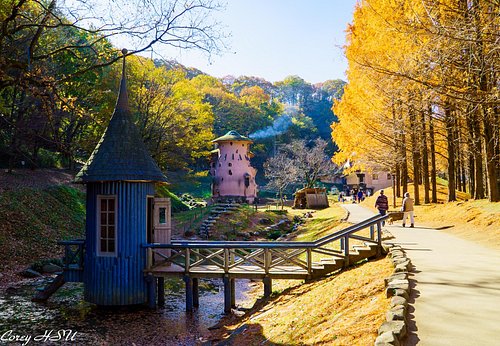 埼玉県の公園 自然 ベスト10 トリップアドバイザー