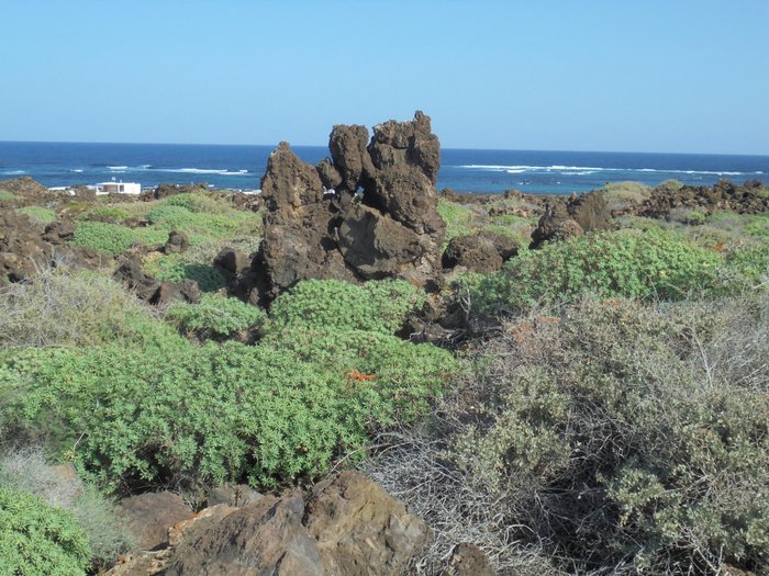 Imagen 7 de Caleta de Mojon Blanco