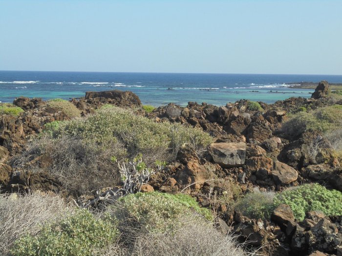 Imagen 6 de Caleta de Mojon Blanco