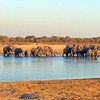 Things To Do in Hwange 3 day Safari, Restaurants in Hwange 3 day Safari