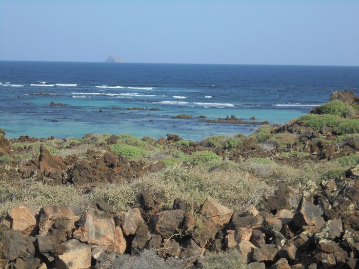 Imagen 9 de Caleta de Mojon Blanco