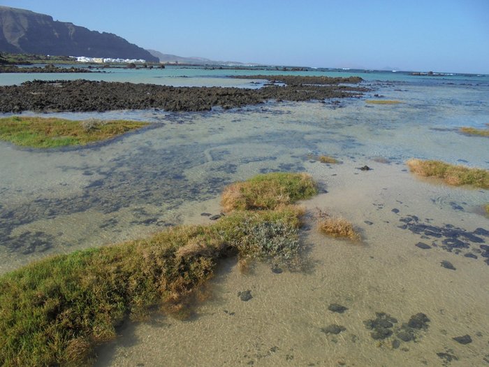 Imagen 3 de Caleta de Mojon Blanco