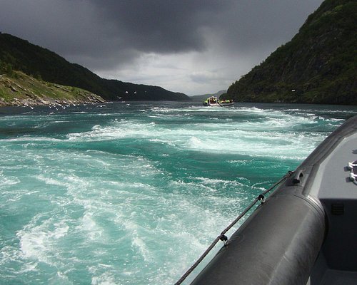 walvis cruise noorwegen
