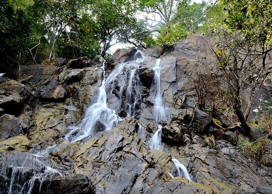 Travel Articles | Travel Blogs | Travel News & Information | Travel Guide |  India.comTop 5 Adventure Activities to do in Dandeli | India.com