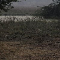 sighting in the dry area