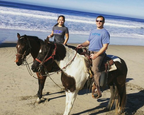 Saiba como são transportados os cavalos para os Jogos