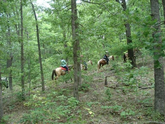Old Family Farm Trail Rides image