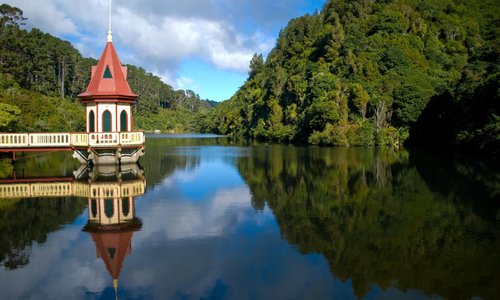 ZEALANDIA Lower Dame