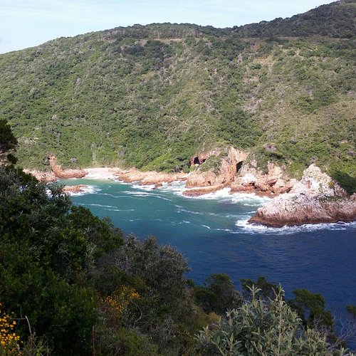 Western Cape Nature Reserves in South Africa