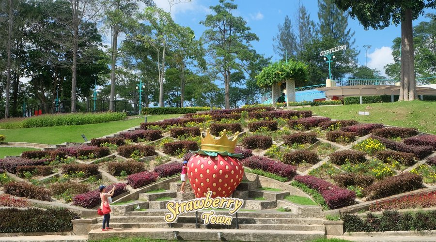 strawberry town