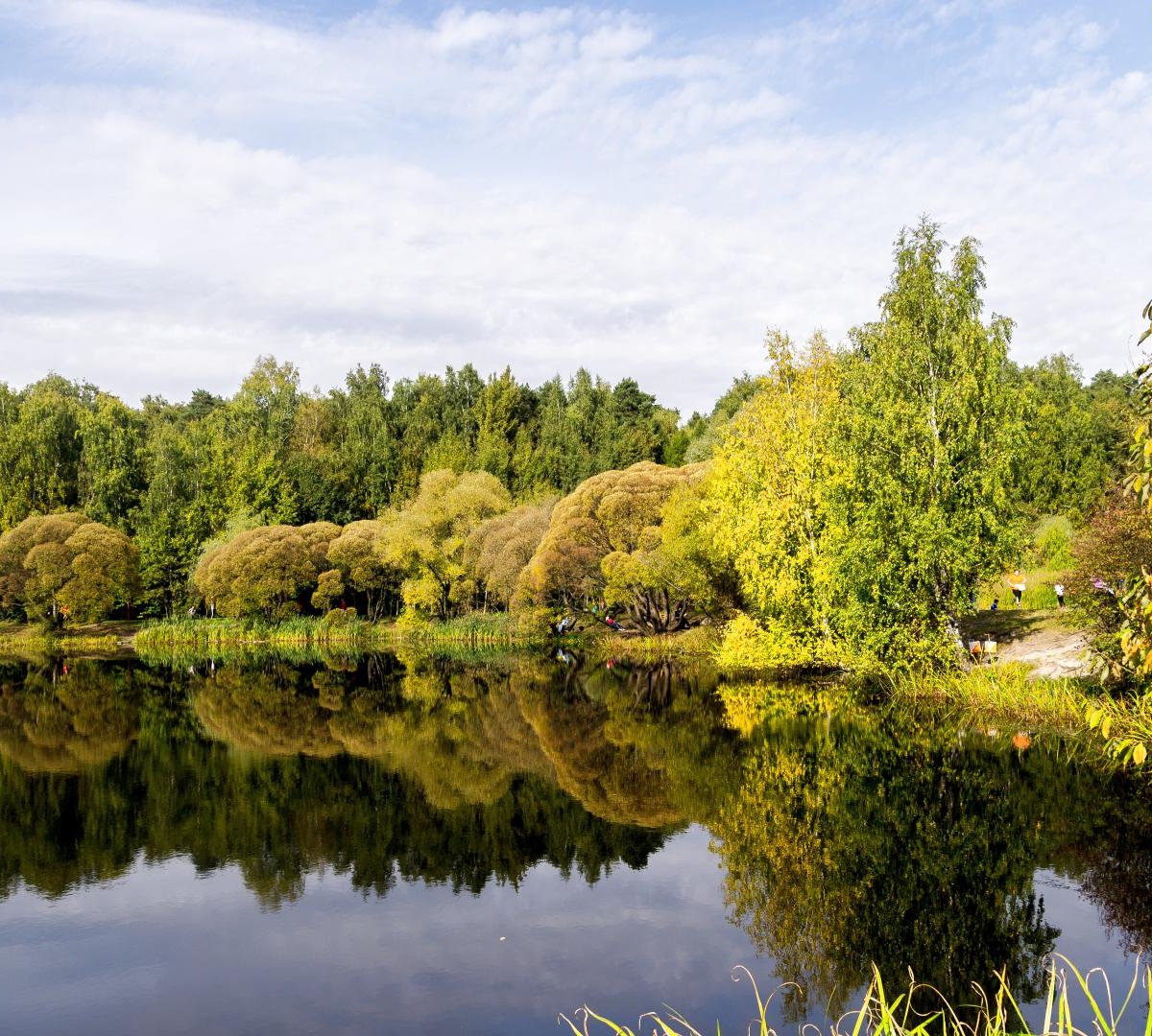 Парк Покровское-Стрешнево, Москва: лучшие советы перед посещением -  Tripadvisor