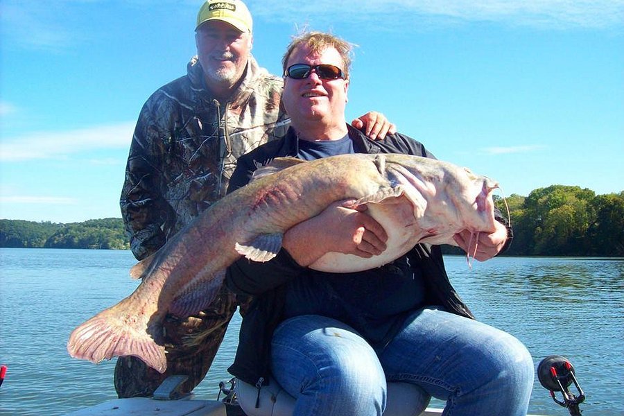 Tennessee River Monsters Fishing Guide Service - Striper, Catfish & Musky image