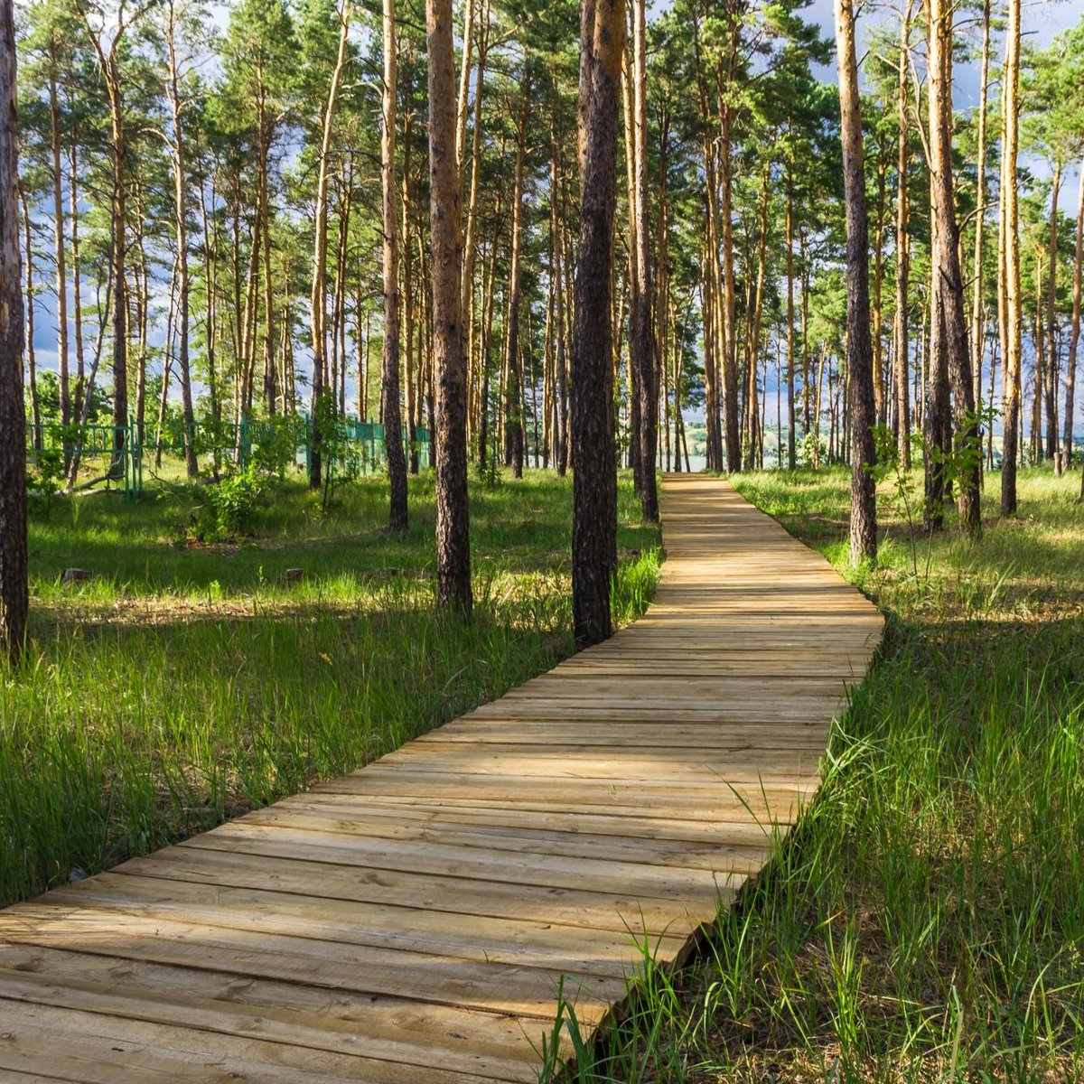 Зоопитомник «Червлёный Яр», Воронеж: лучшие советы перед посещением -  Tripadvisor