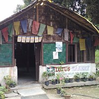 Outside View