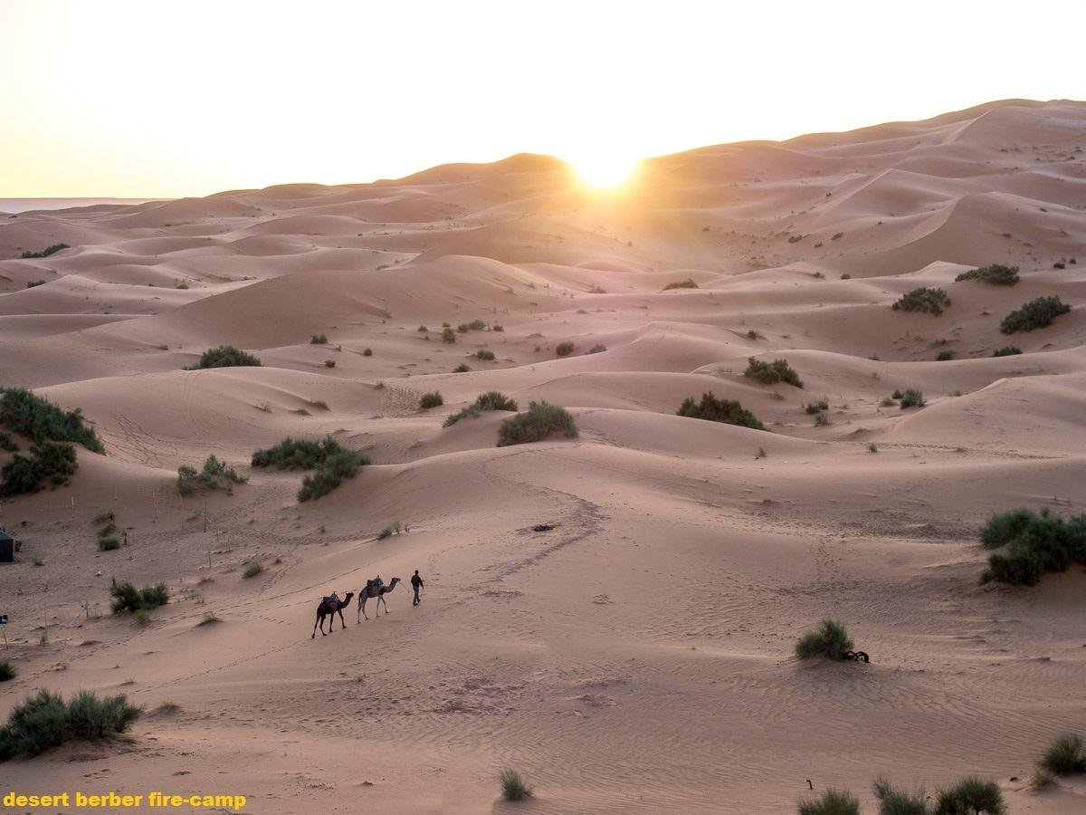 Desert Berber Fire-Camp Rooms: Pictures & Reviews - Tripadvisor