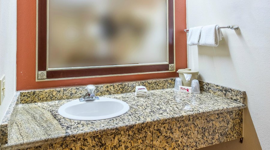 Rodeway Inn Tampa near Busch Gardens-USF: Ultimate Stay Guide