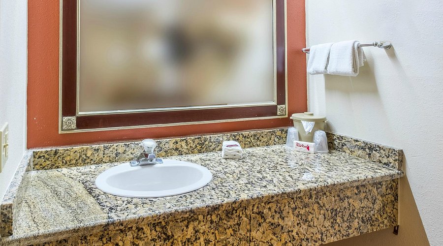 Rodeway Inn Tampa near Busch Gardens-USF: Ultimate Stay Guide