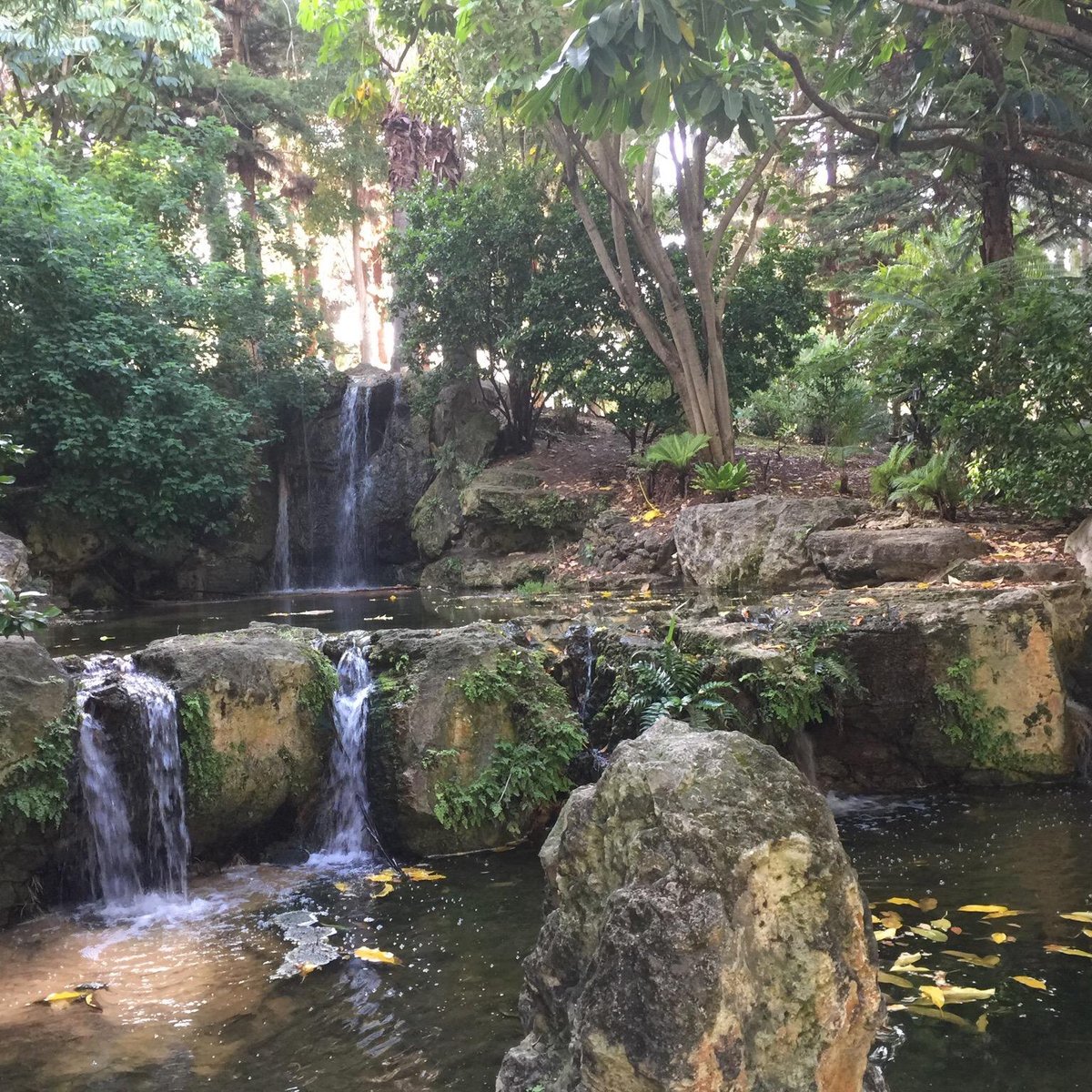 JOHN OLDHAM PARK (Perth) Ce qu