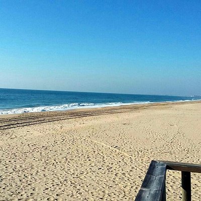 Las 10 Mejores Cosas Que Hacer En Islantilla Actualizado 2021 Lo Más Comentado Por La Gente Tripadvisor