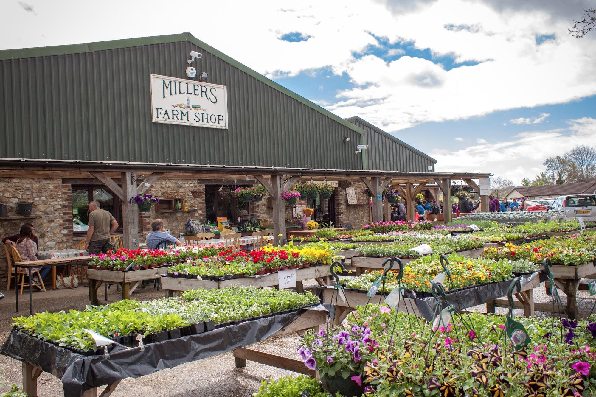 Millers Farm Shop Axminster All You Need To Know BEFORE You Go   Millers Farm Shop 