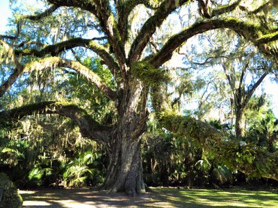 Ormond Beach, FL 2024: Best Places to Visit - Tripadvisor