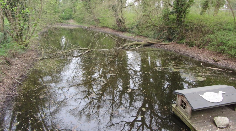 Klosterteich
