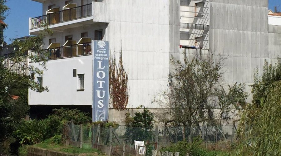 Hotel Lotus