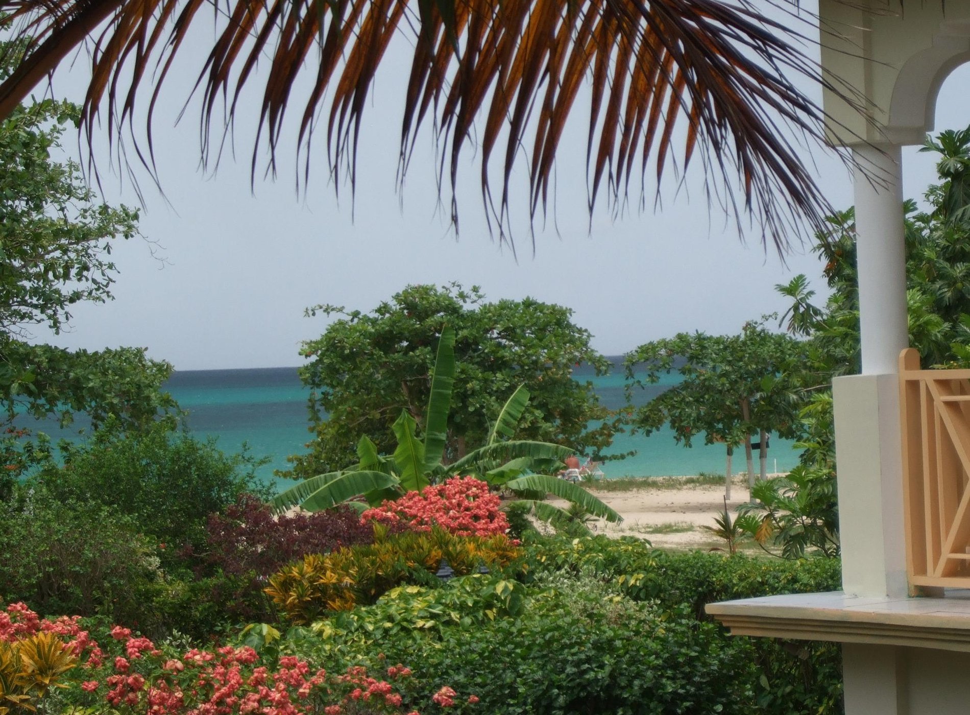 Coral Seas Beach Resort by null