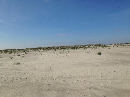 Ameland review images